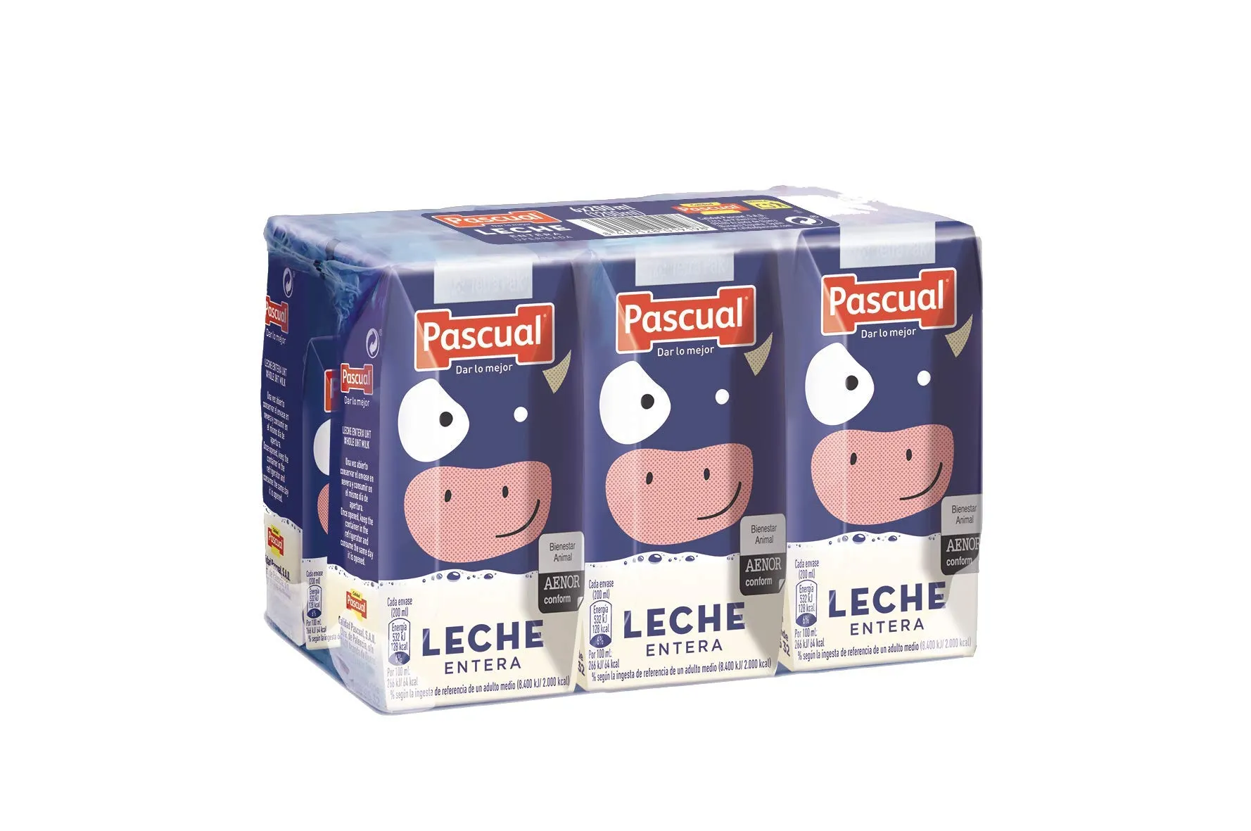 LECHE PASCUAL ENTERA MINI BRIK 6X200