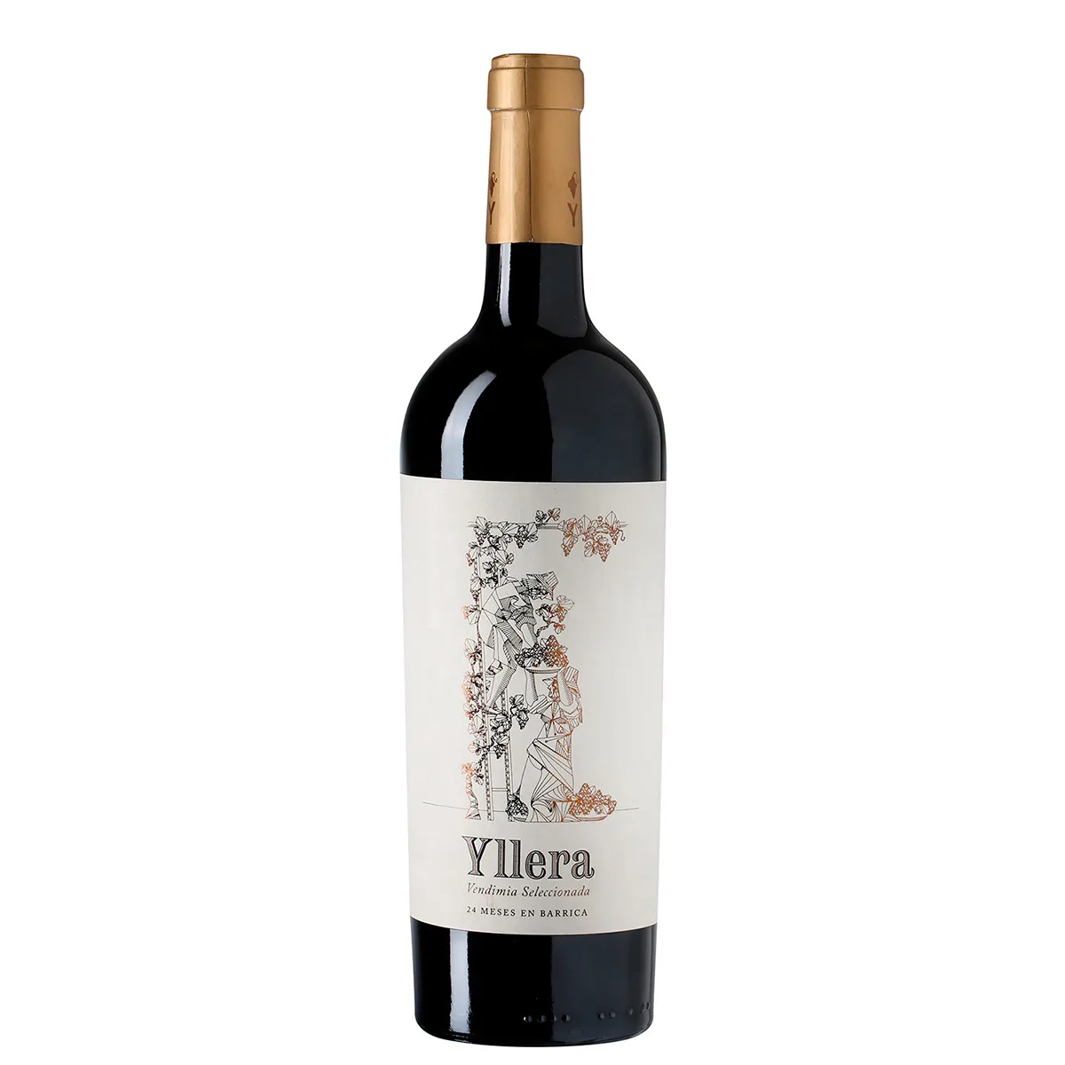 YLLERA VENDIMIA SELECCIONADA 24M 3/4