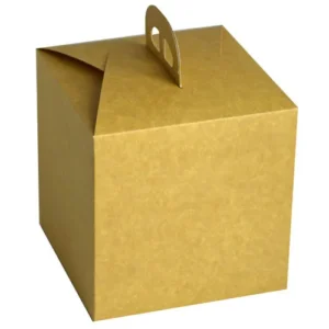 CAJA PANETTONE 2 P+C PAQ 25 18X18X18
