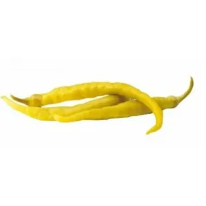 Guindilla Vasca Tarro 3 kg
