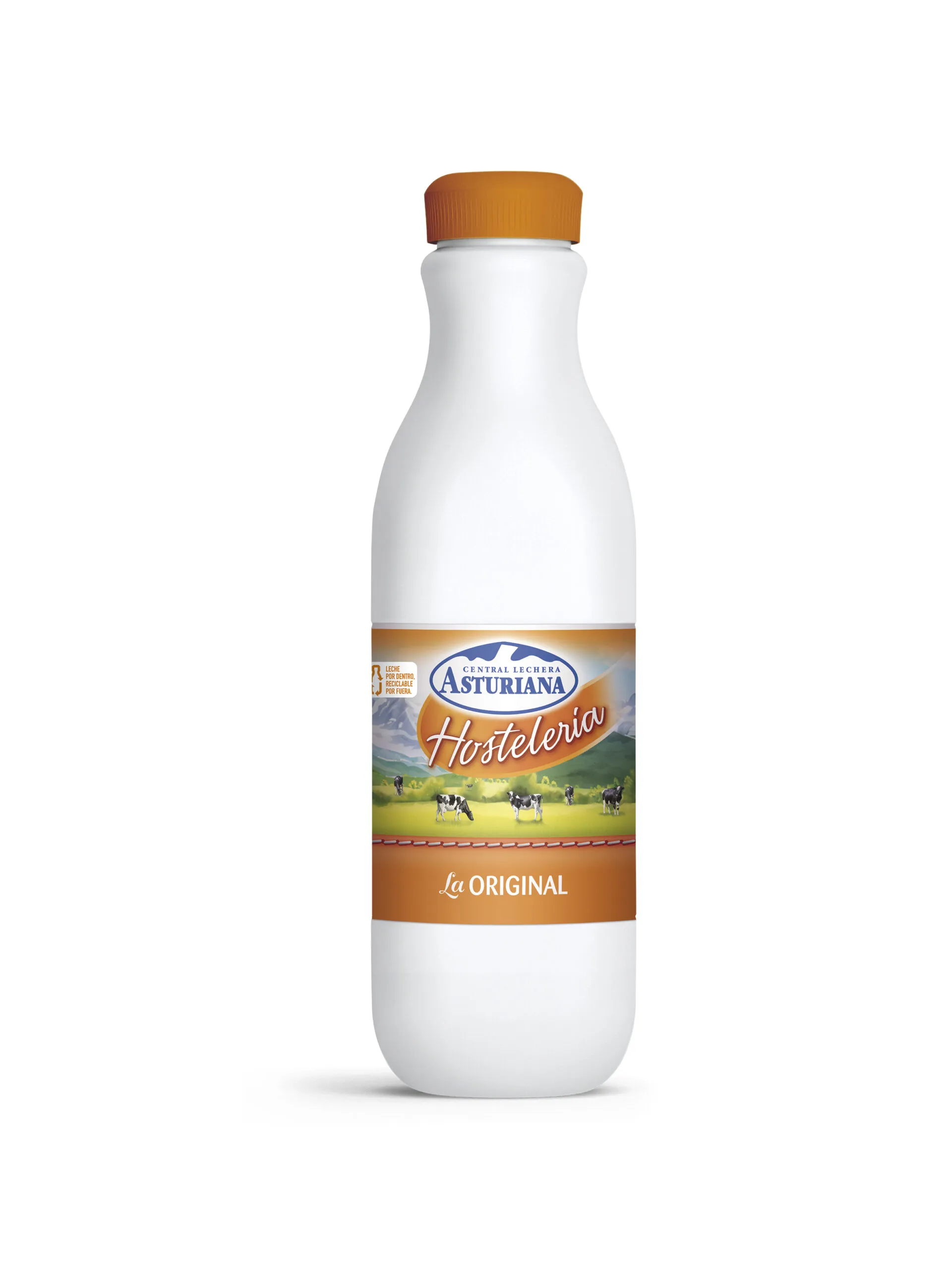 Asturiana Hostelería Original 5 L PET