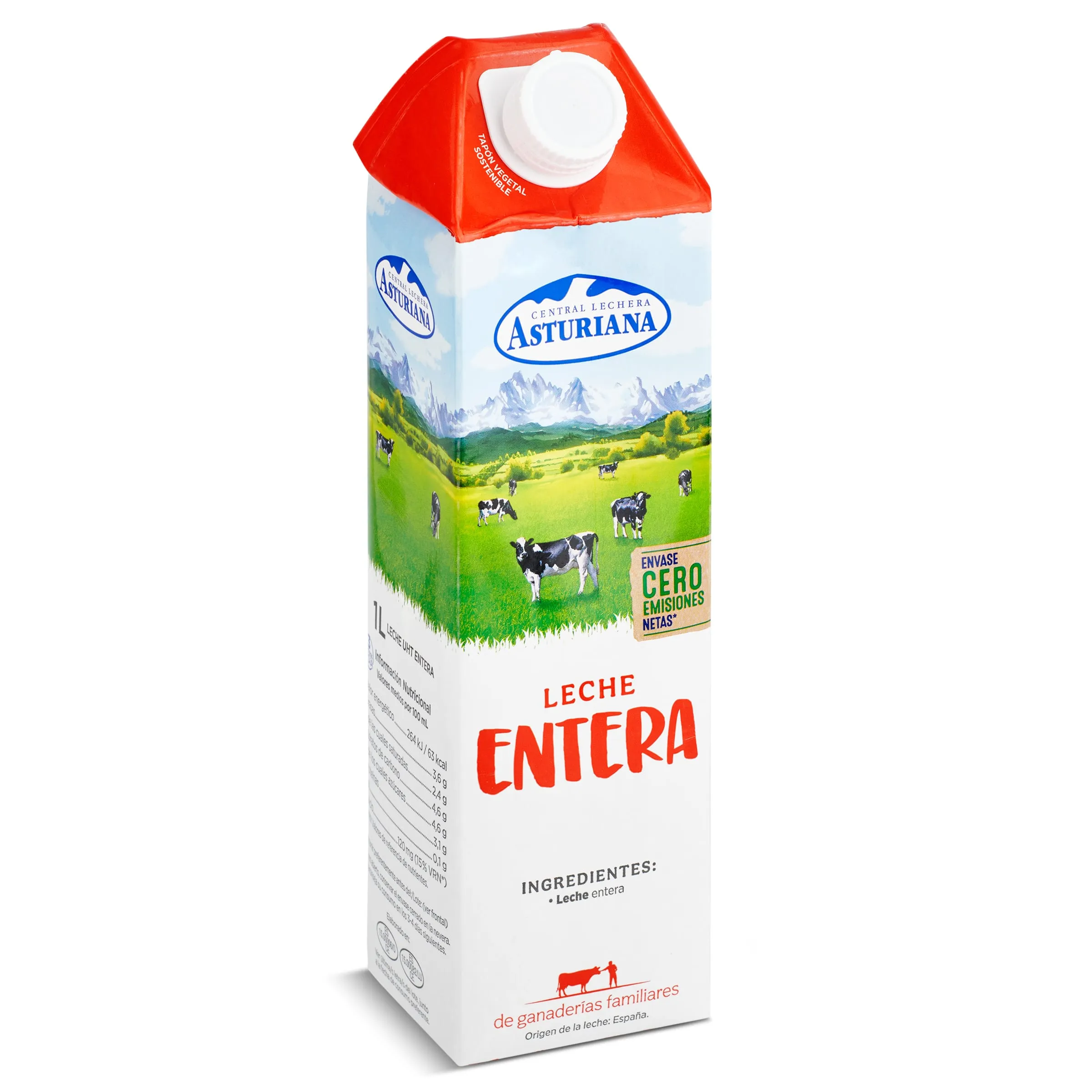 Asturiana MG entera brik 1 L