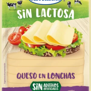 Queso lonchas sin lactosa Asturi 120 g