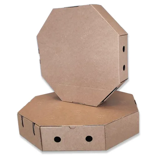 Tapa Para Paellas Cartón 60 CM Imp Wake