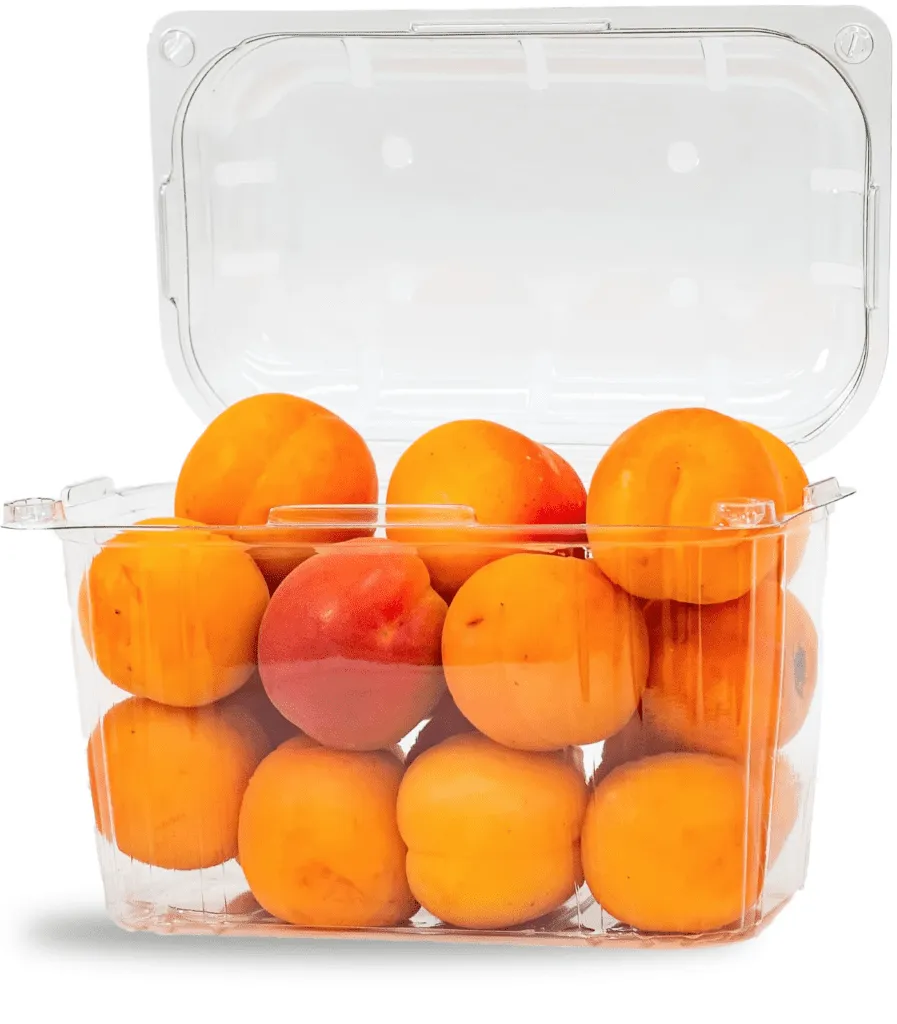 Cesta Bisagra Kaki Fruta 1 KG C/540 Piez