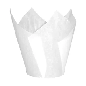 Tulipas Blancas 16/5 Capsulas Alas 2000 unidades