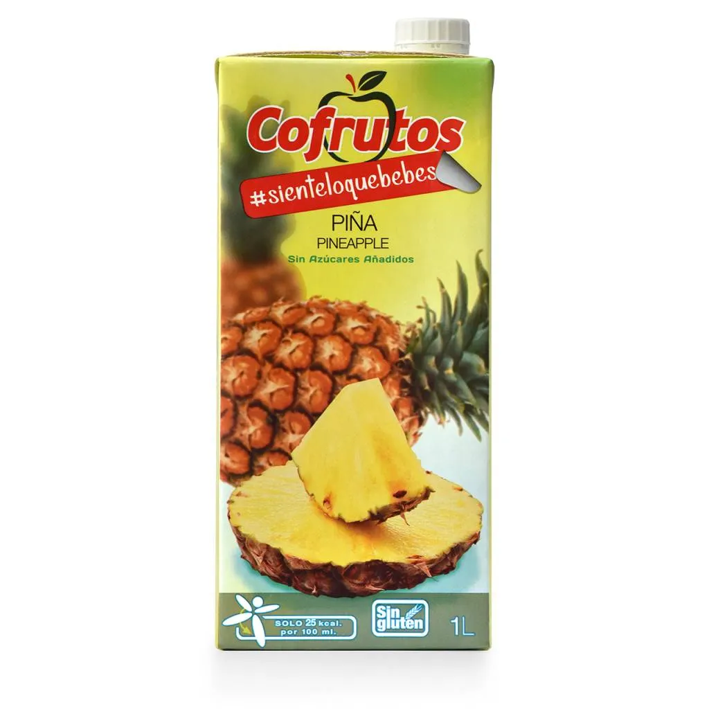 Cofrutos Zumo Piña en Brik 1 L x12